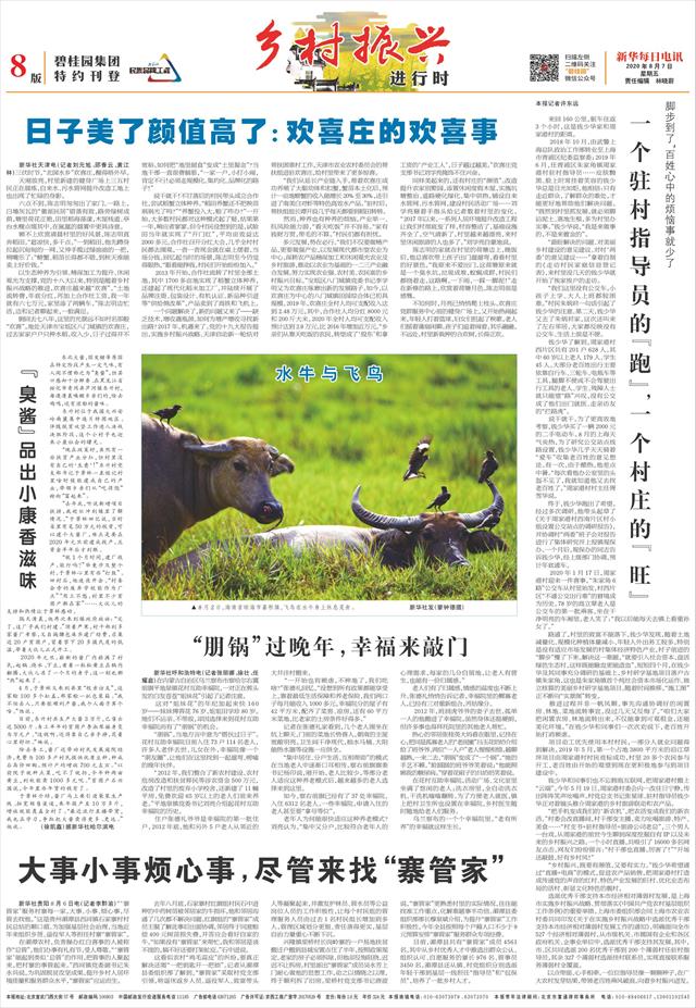 新华每日电讯-08版:乡村振兴-2020年08月07日