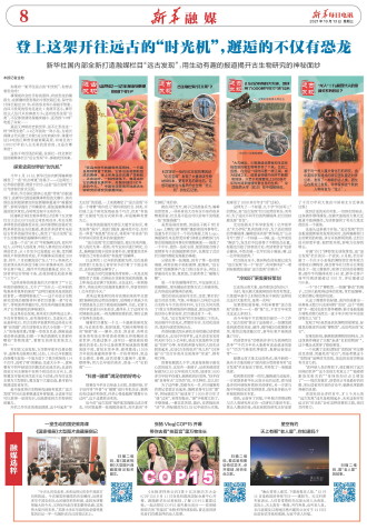 ****处理标记：[page]时， 字段 [] 在数据源中没有找到! ****