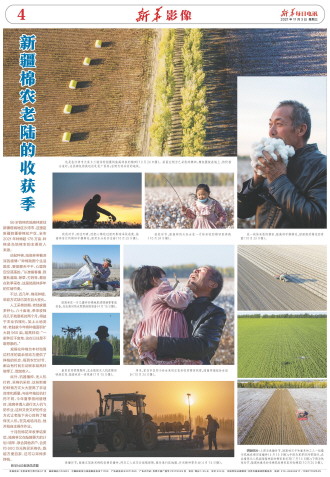 ****处理标记：[page]时， 字段 [] 在数据源中没有找到! ****