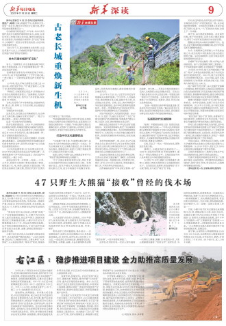 ****处理标记：[page]时， 字段 [] 在数据源中没有找到! ****