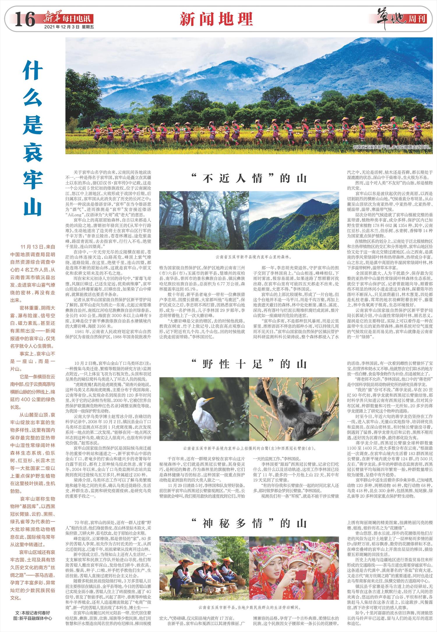 ****处理标记：[page]时， 字段 [] 在数据源中没有找到! ****