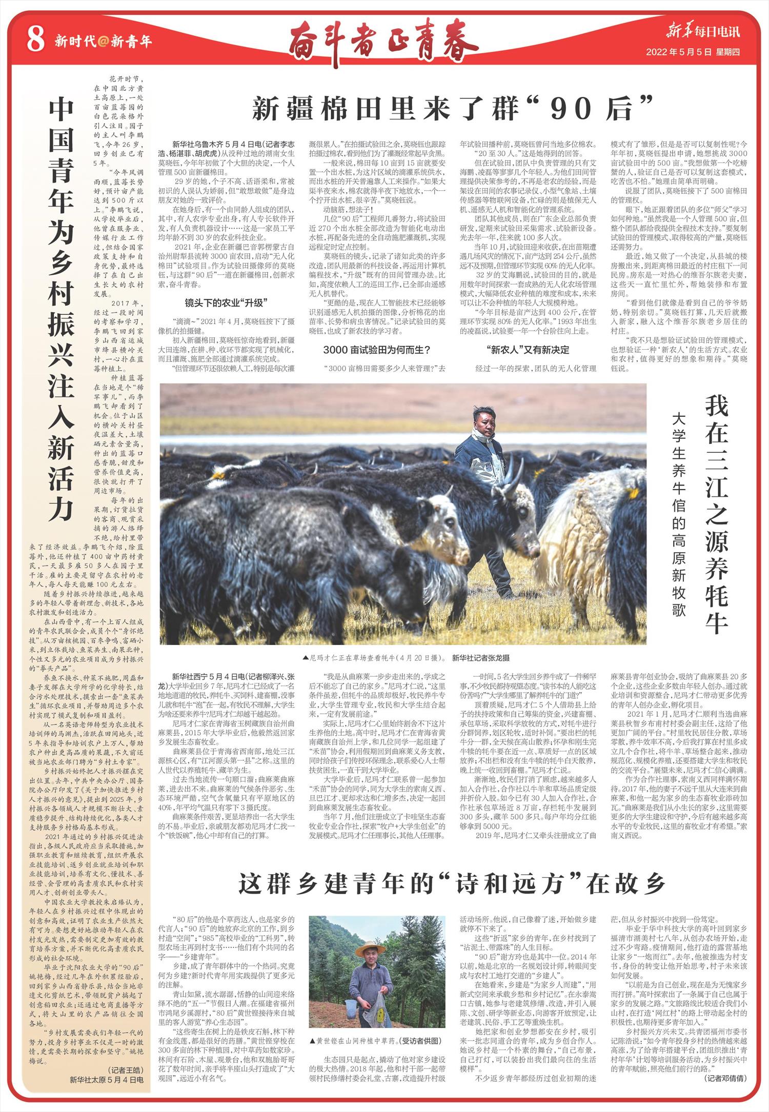 ****处理标记：[page]时， 字段 [] 在数据源中没有找到! ****