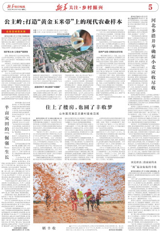 ****处理标记：[page]时， 字段 [] 在数据源中没有找到! ****