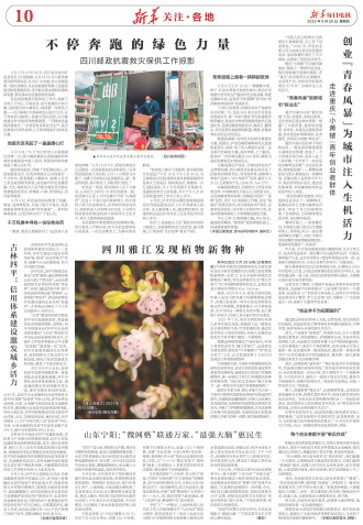 ****处理标记：[page]时， 字段 [] 在数据源中没有找到! ****