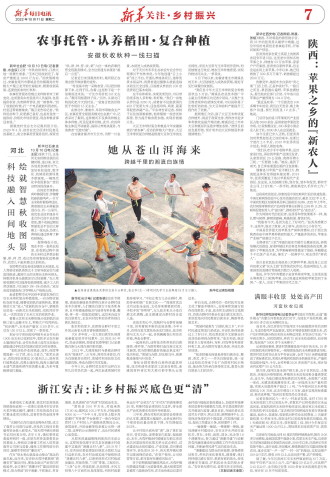 ****处理标记：[page]时， 字段 [] 在数据源中没有找到! ****