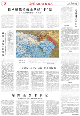 ****处理标记：[page]时， 字段 [] 在数据源中没有找到! ****