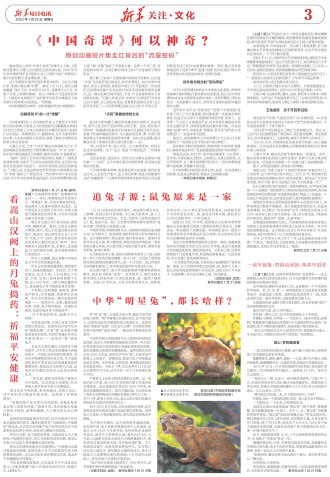 ****处理标记：[page]时， 字段 [] 在数据源中没有找到! ****