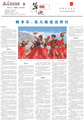 ****处理标记：[page]时， 字段 [] 在数据源中没有找到! ****