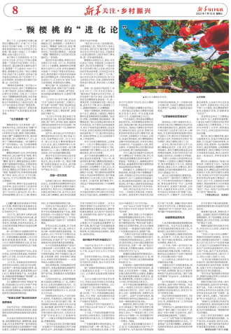 ****处理标记：[page]时， 字段 [] 在数据源中没有找到! ****