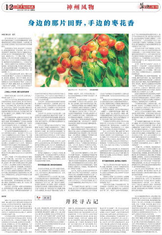 ****处理标记：[page]时， 字段 [] 在数据源中没有找到! ****