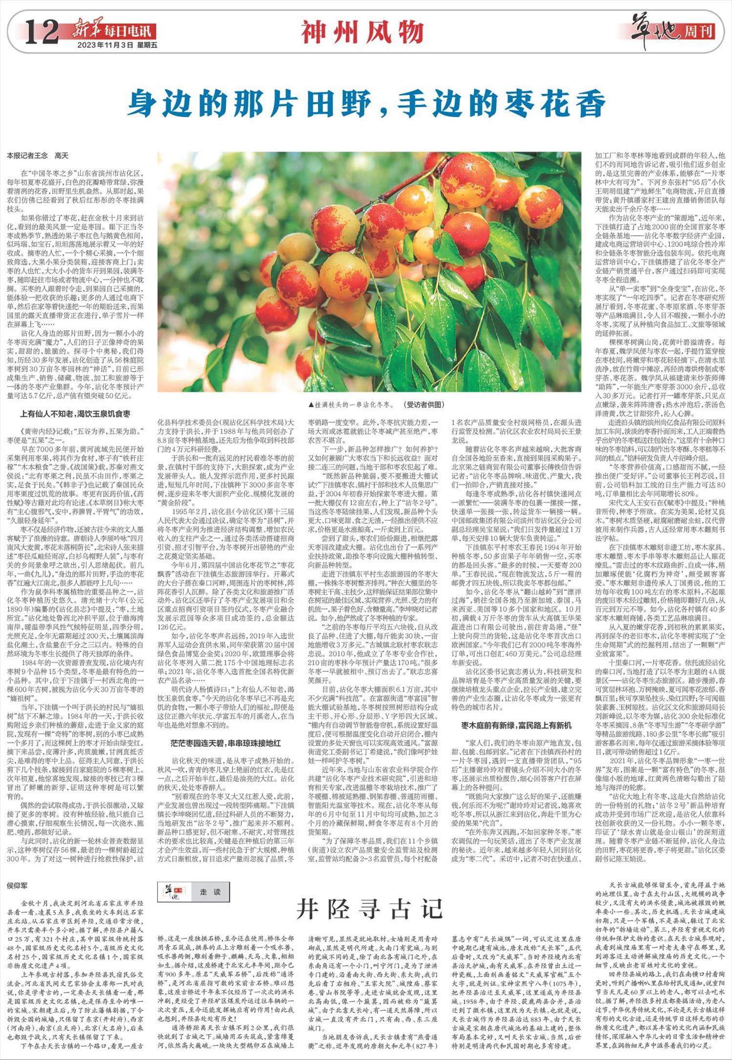 ****处理标记：[page]时， 字段 [] 在数据源中没有找到! ****