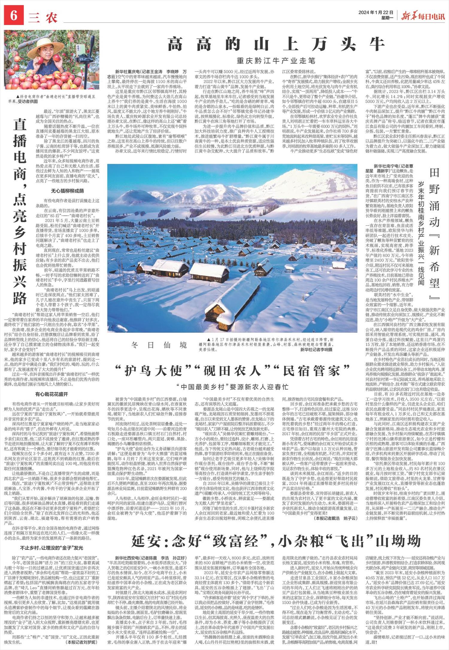 ****处理标记：[page]时， 字段 [] 在数据源中没有找到! ****