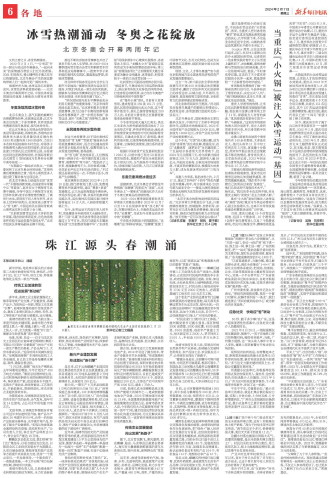 ****处理标记：[page]时， 字段 [] 在数据源中没有找到! ****