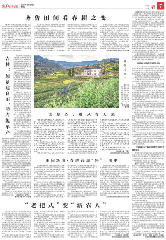 ****处理标记：[page]时， 字段 [] 在数据源中没有找到! ****