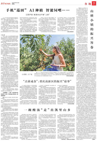 ****处理标记：[page]时， 字段 [] 在数据源中没有找到! ****