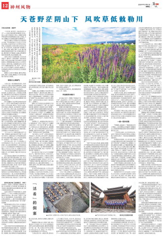 ****处理标记：[page]时， 字段 [] 在数据源中没有找到! ****