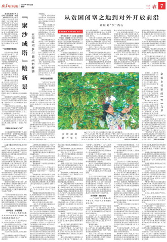 ****处理标记：[page]时， 字段 [] 在数据源中没有找到! ****