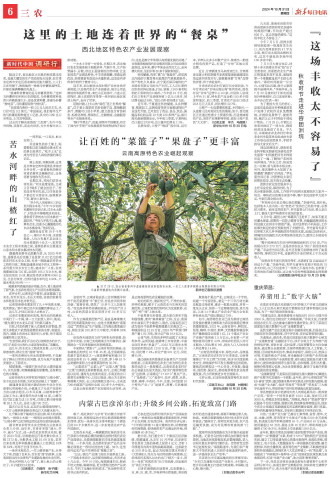 ****处理标记：[page]时， 字段 [] 在数据源中没有找到! ****