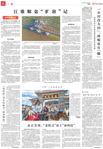 ****处理标记：[page]时， 字段 [] 在数据源中没有找到! ****