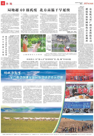 ****处理标记：[page]时， 字段 [] 在数据源中没有找到! ****