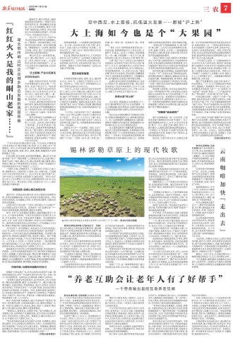 ****处理标记：[page]时， 字段 [] 在数据源中没有找到! ****