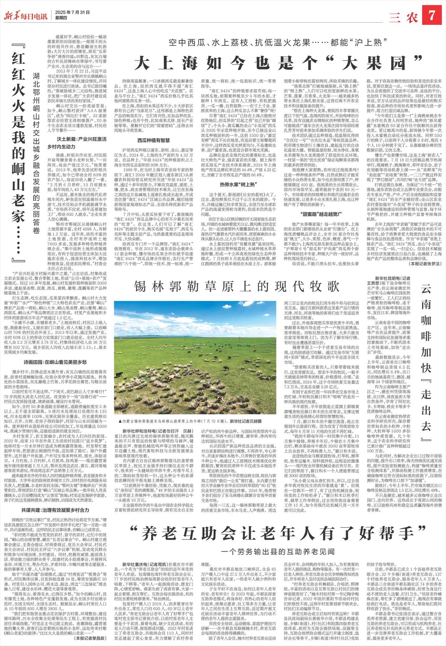 ****处理标记：[page]时， 字段 [] 在数据源中没有找到! ****