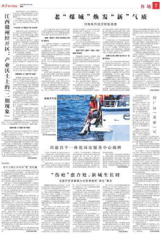 ****处理标记：[page]时， 字段 [] 在数据源中没有找到! ****