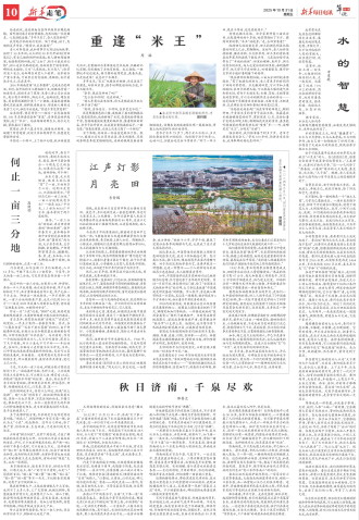 ****处理标记：[page]时， 字段 [] 在数据源中没有找到! ****