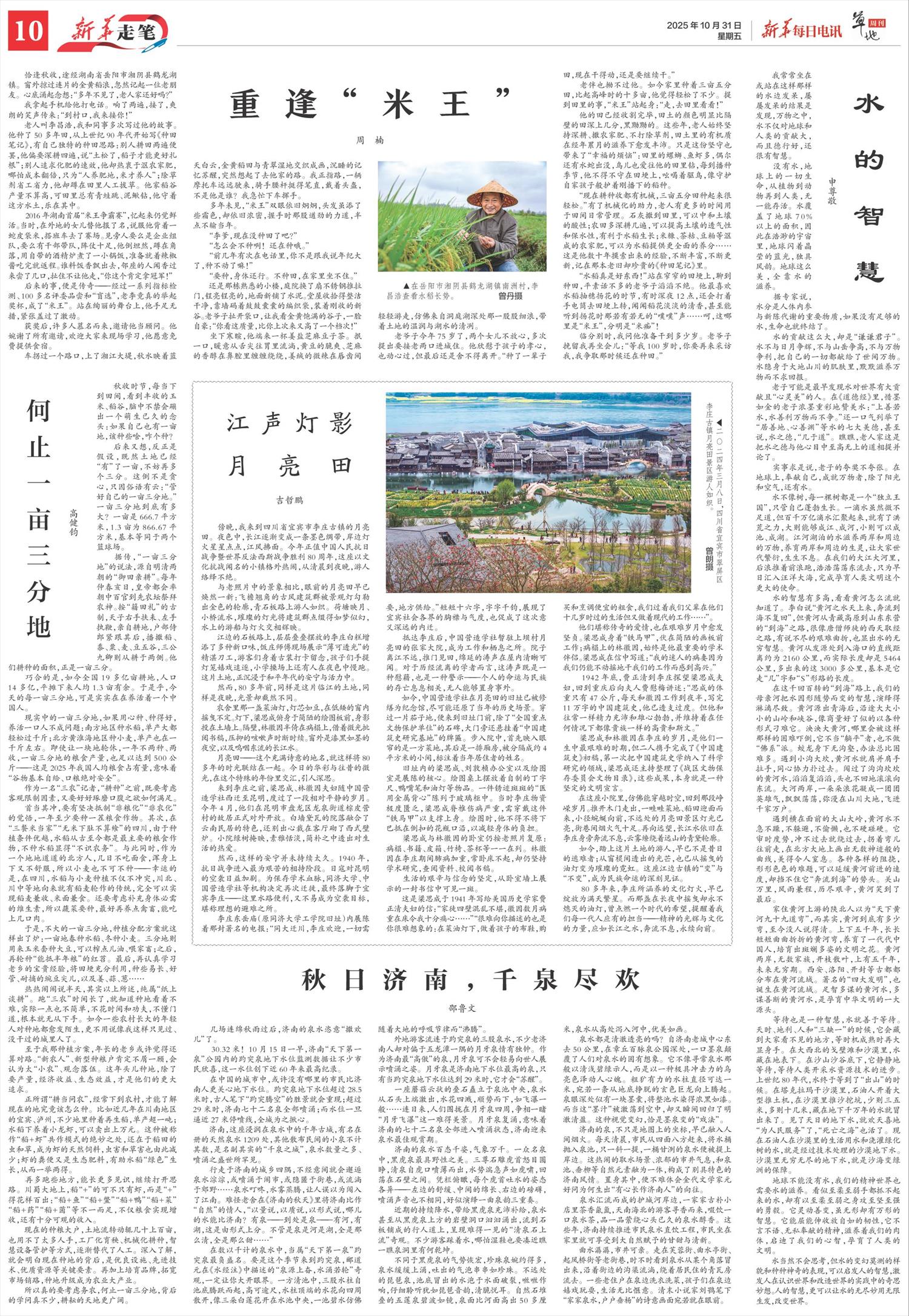 ****处理标记：[page]时， 字段 [] 在数据源中没有找到! ****