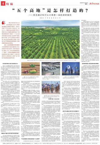 ****处理标记：[page]时， 字段 [] 在数据源中没有找到! ****