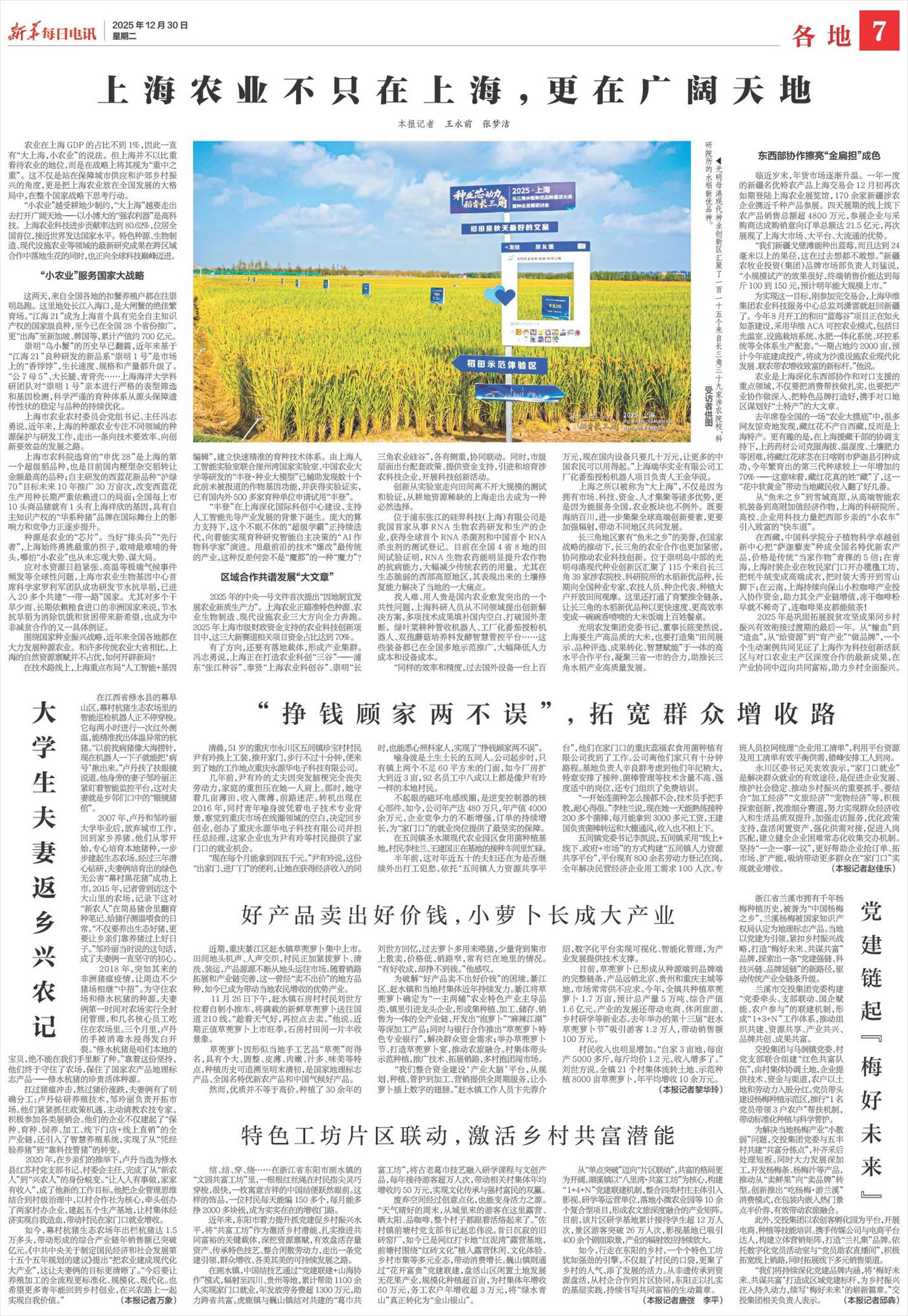 ****处理标记：[page]时， 字段 [] 在数据源中没有找到! ****