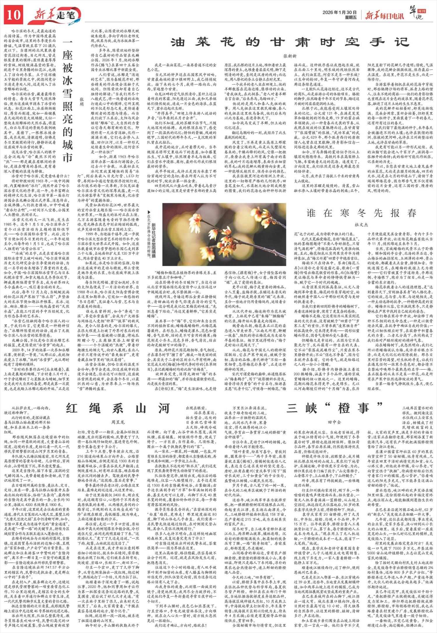 ****处理标记：[page]时， 字段 [] 在数据源中没有找到! ****