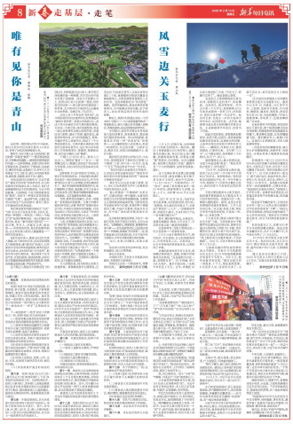 ****处理标记：[page]时， 字段 [] 在数据源中没有找到! ****