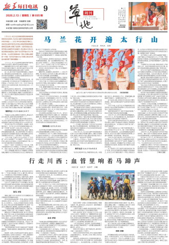 ****处理标记：[page]时， 字段 [] 在数据源中没有找到! ****