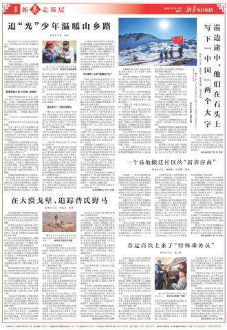 ****处理标记：[page]时， 字段 [] 在数据源中没有找到! ****