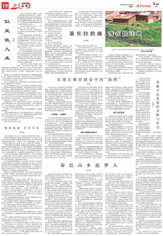 ****处理标记：[page]时， 字段 [] 在数据源中没有找到! ****