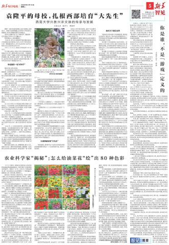 ****处理标记：[page]时， 字段 [] 在数据源中没有找到! ****