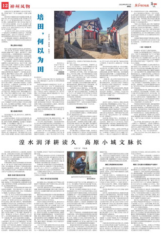 ****处理标记：[page]时， 字段 [] 在数据源中没有找到! ****