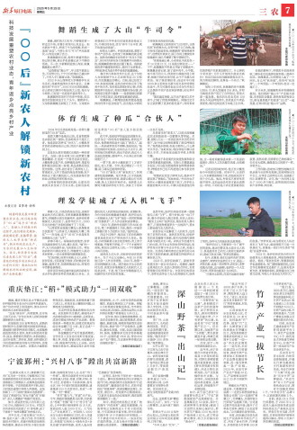 ****处理标记：[page]时， 字段 [] 在数据源中没有找到! ****