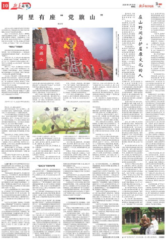 ****处理标记：[page]时， 字段 [] 在数据源中没有找到! ****