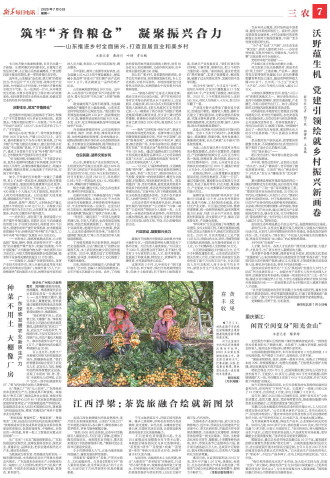 ****处理标记：[page]时， 字段 [] 在数据源中没有找到! ****