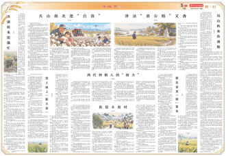 ****处理标记：[page]时， 字段 [] 在数据源中没有找到! ****