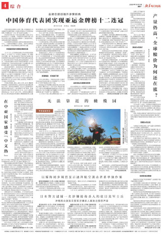 ****处理标记：[page]时， 字段 [] 在数据源中没有找到! ****