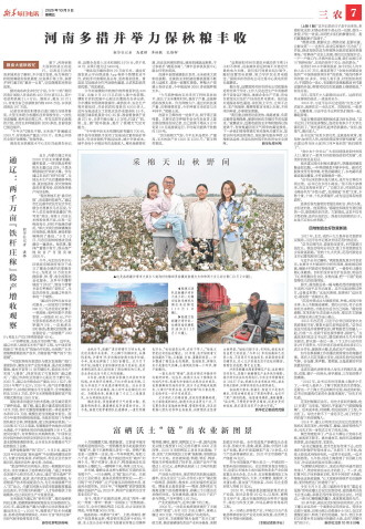 ****处理标记：[page]时， 字段 [] 在数据源中没有找到! ****